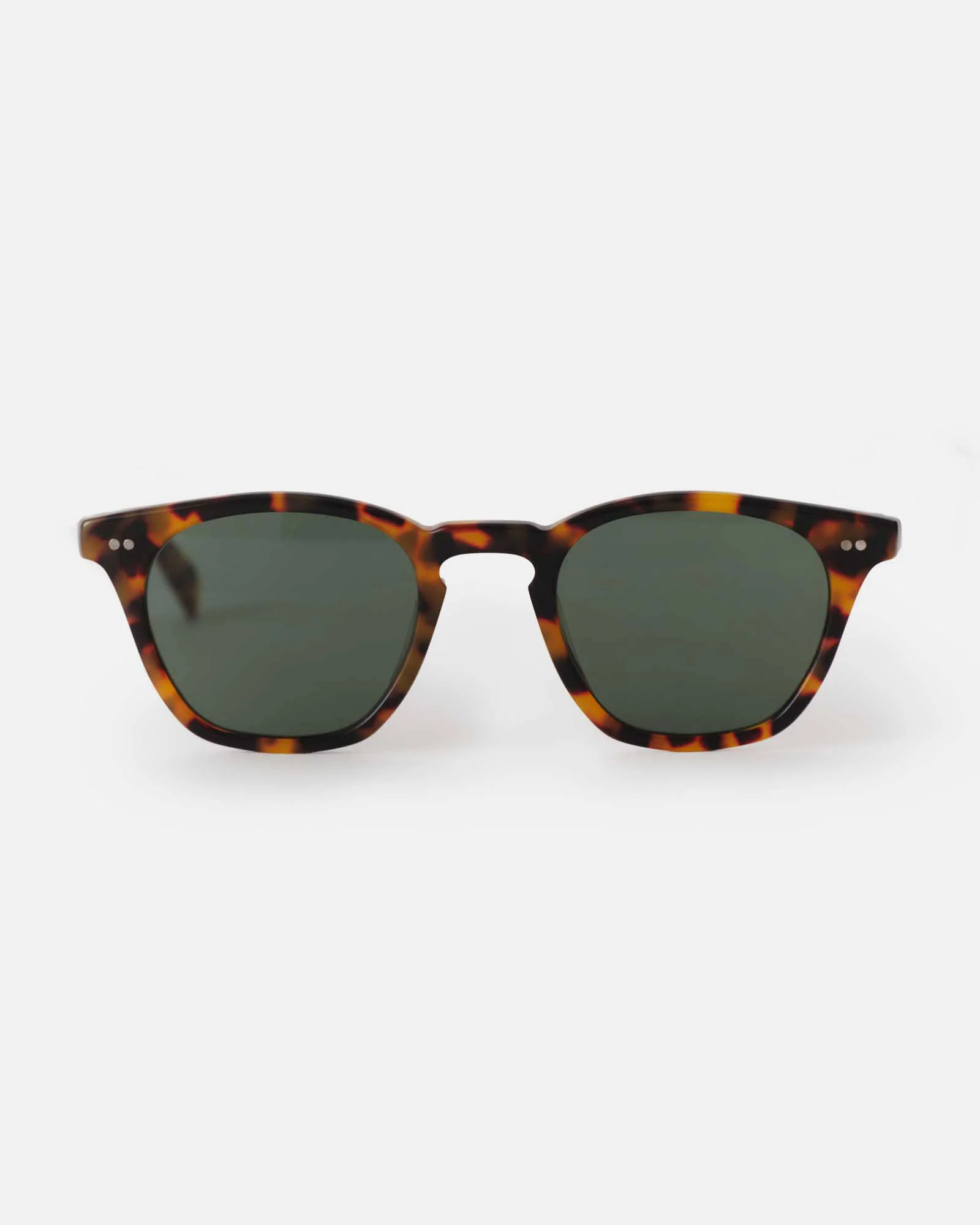 The Legend in Tokyo Tortoise